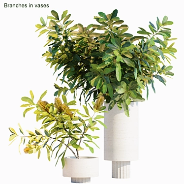 Elegant Branches in Vases 3D model image 1 