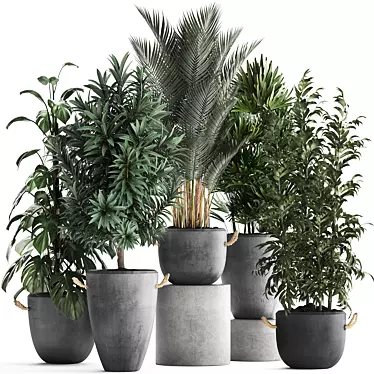 Exotic Indoor Plant Collection 3D model image 1 