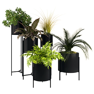 5-Piece Plant Collection: 3DMax, Vray, Obj 3D model image 1 