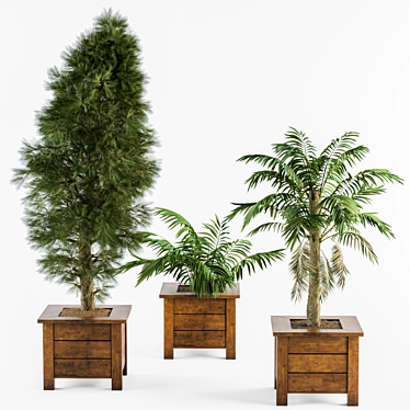 Wooden Pot Outdoor Plants 3D model image 1 