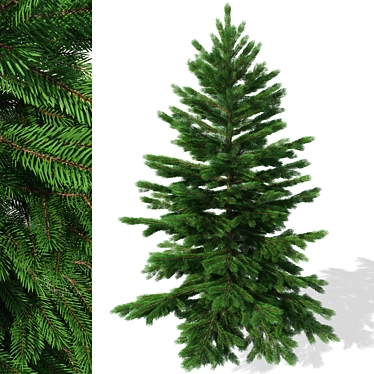 Realistic Christmas Tree for Exterior or Holiday Scenes 3D model image 1 