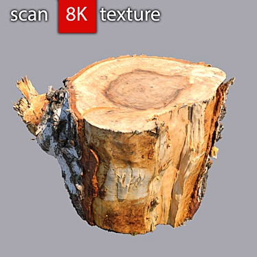 Detailed Stump 3D Model 3D model image 1 