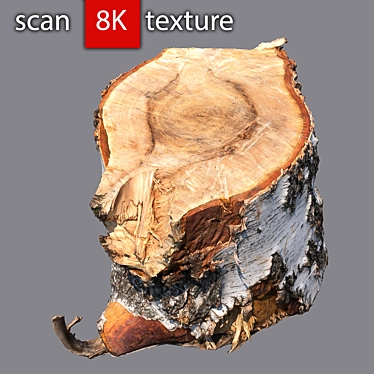 Detailed 3D Stump Model 3D model image 1 