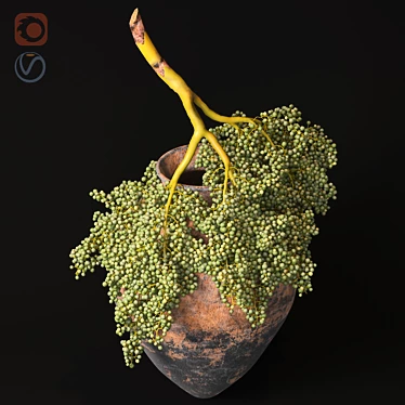  Date Branch Jug - Unique Handcrafted Design 3D model image 1 