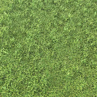 Realistic Grass Landscaping Model 3D model image 1 