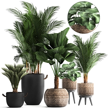 Title: Tropical Plant Collection 3D model image 1 