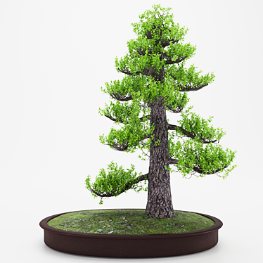 Exquisite Bonsai Tree - Lifelike & Intricate 3D model image 1 