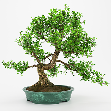 Artificial Bonsai Tree: Detailed, Textured 3D model image 1 