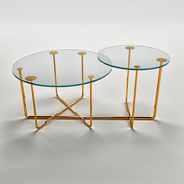 Elegant Gallotti & Radice Connection Coffee Table 3D model image 1 