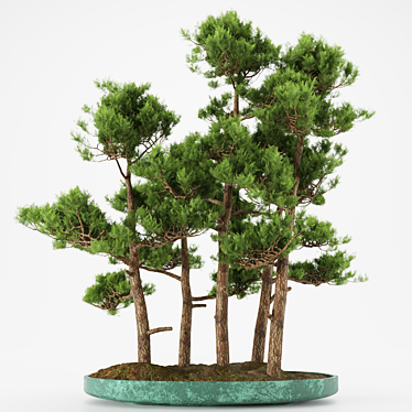 Elegant Bonsai Tree Sculpture 3D model image 1 