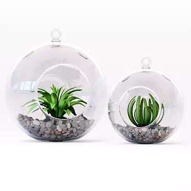 Mini Decor Plants Set | Hanging or Tabletop Vases 3D model image 1 