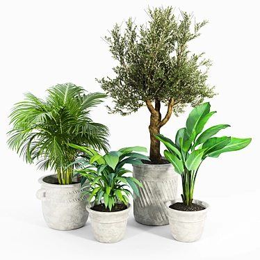 Versatile Villa Planter Set 3D model image 1 