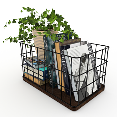 Decorative Basket with Books and Plant