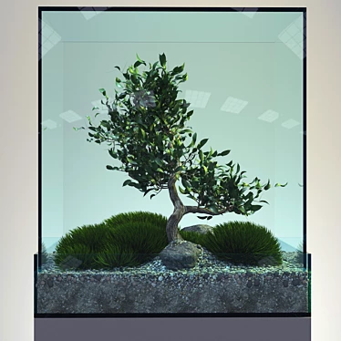 Elegant Bonsai Tree - Perfect for V-Ray! 3D model image 1 
