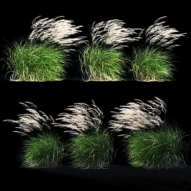 Elegant Wind-Swept Miscanthus 3D model image 1 