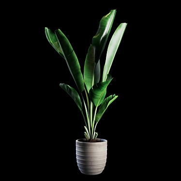 Green Oasis Indoor Plants Set 3D model image 1 