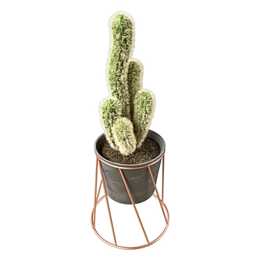  Prickly Beauties: Cactus Deco 3D model image 1 