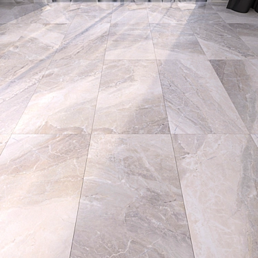 Alpin Grey Marble Floor: Multi-Texture, High-Definition, Corona & Vray 3D model image 1 