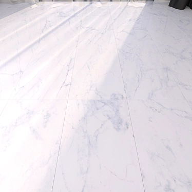 Elegant Carrara White Marble Flooring 3D model image 1 