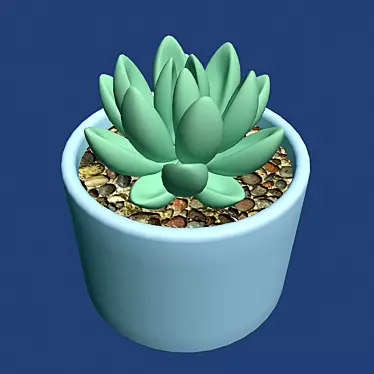 African Succulent Model Kit - 3DS MAX 2009 3D model image 1 