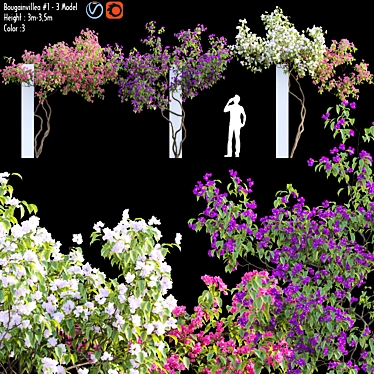 Vibrant Bougainvillea Floral 3D Model 3D model image 1 