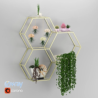 Modern House Plants Set 3D model image 1 