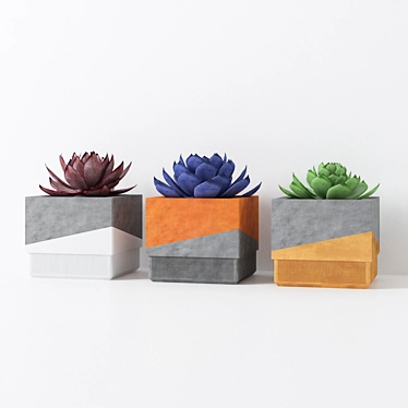 Minimalist Concrete Succulent Planters 3D model image 1 