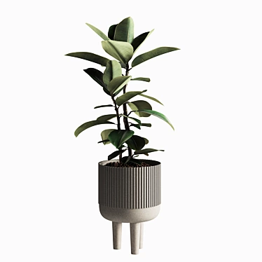 Lush Indoor Plant Collection 3D model image 1 