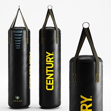 CENTURY Brave Hanging Boxing Bag: Durable and Compact 3D model image 1 