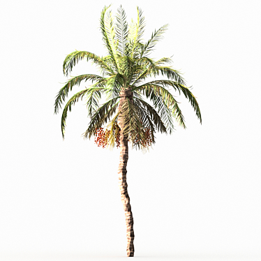 Spectacular Date Palm Tree 3D model image 1 