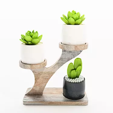 Desert Serenity: Cactus in Stone Pots 3D model image 1 