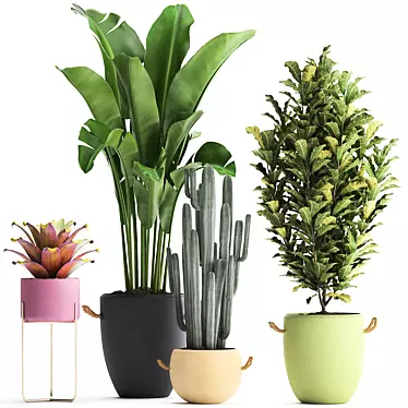 Exotic Houseplant Collection 3D model image 1 