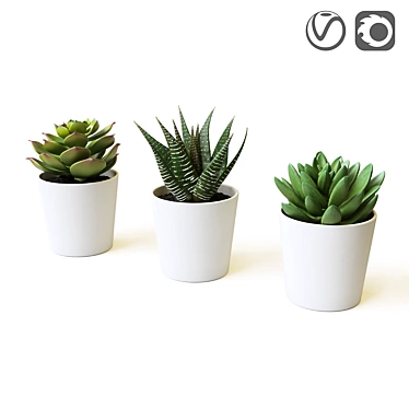 Everlasting Greenery: Artificial Succulents 3D model image 1 