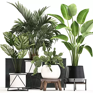 Exotic Plant Collection with Decorative Pots 3D model image 1 