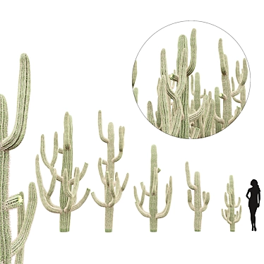 Desert Dreams Cactus Set 3D model image 1 