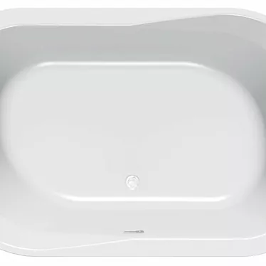 Double Comfort Acrylic Bathtub 3D model image 1 