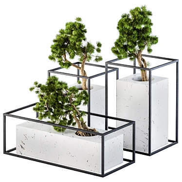 Marble Pot Bonsai Pine - 3 Types 3D model image 1 