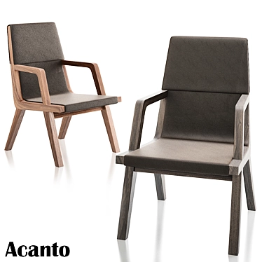 Sophisticated Citterio Armchair: Acanto 3D model image 1 