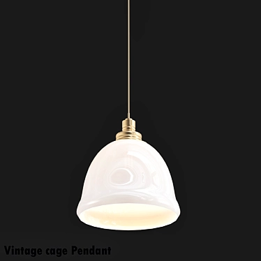 Vintage Cage Pendant in 2013 Version 3D model image 1 