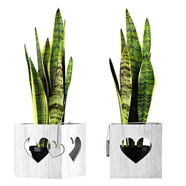 Stylish Sansevieria Plant 3D model image 1 