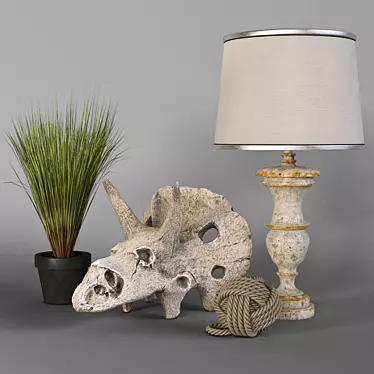 Dino Skull Decor Set 3D model image 1 