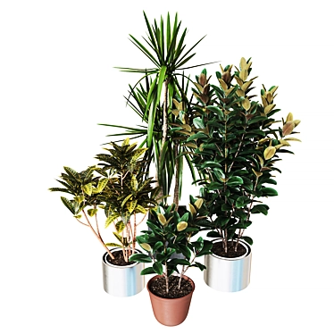 Exquisite Indoor Plant Collection 3D model image 1 