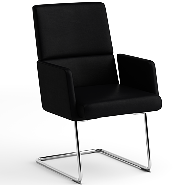 Elegant de Sede DS-414 Chair 3D model image 1 