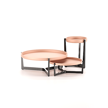 Stylish Coffee Table Set 3D model image 1 