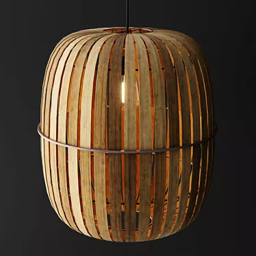 Natural Bamboo Kiwi Wren Lamps 3D model image 1 