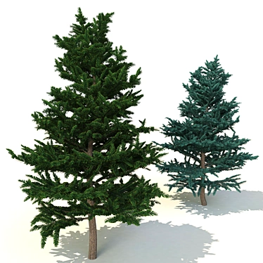 Spruce V2: High-Quality 3D Tree 3D model image 1 