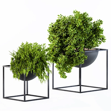 Botanical Bliss: Hanging Plants in a Round Pot 3D model image 1 