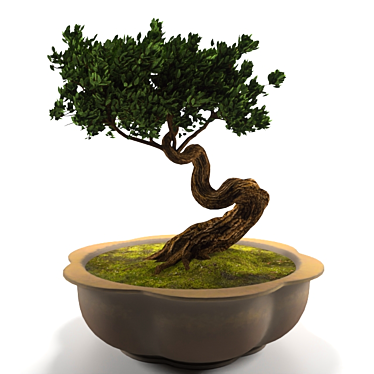 Miniature Bonsai Tree for Elegant Décor 3D model image 1 