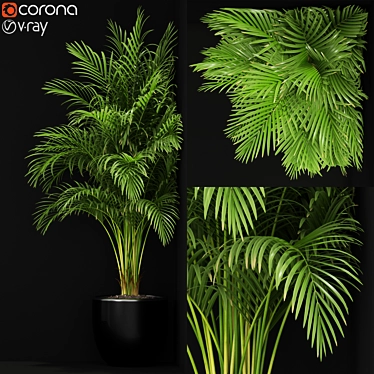 Exquisite 259 Plant Collection 3D model image 1 