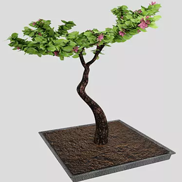 Flowering Bonsai in Pot 3D model image 1 